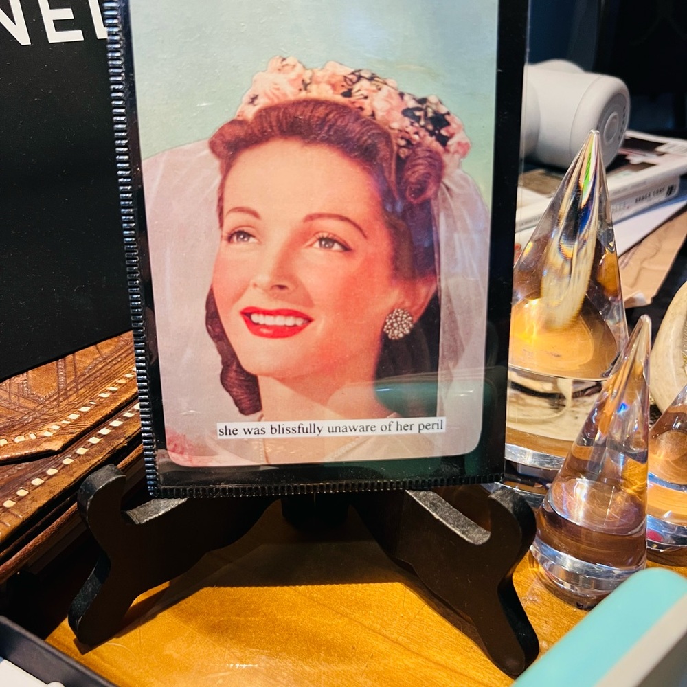 Ann Taintor hilarious postcard in a magnetic frame for fridge New